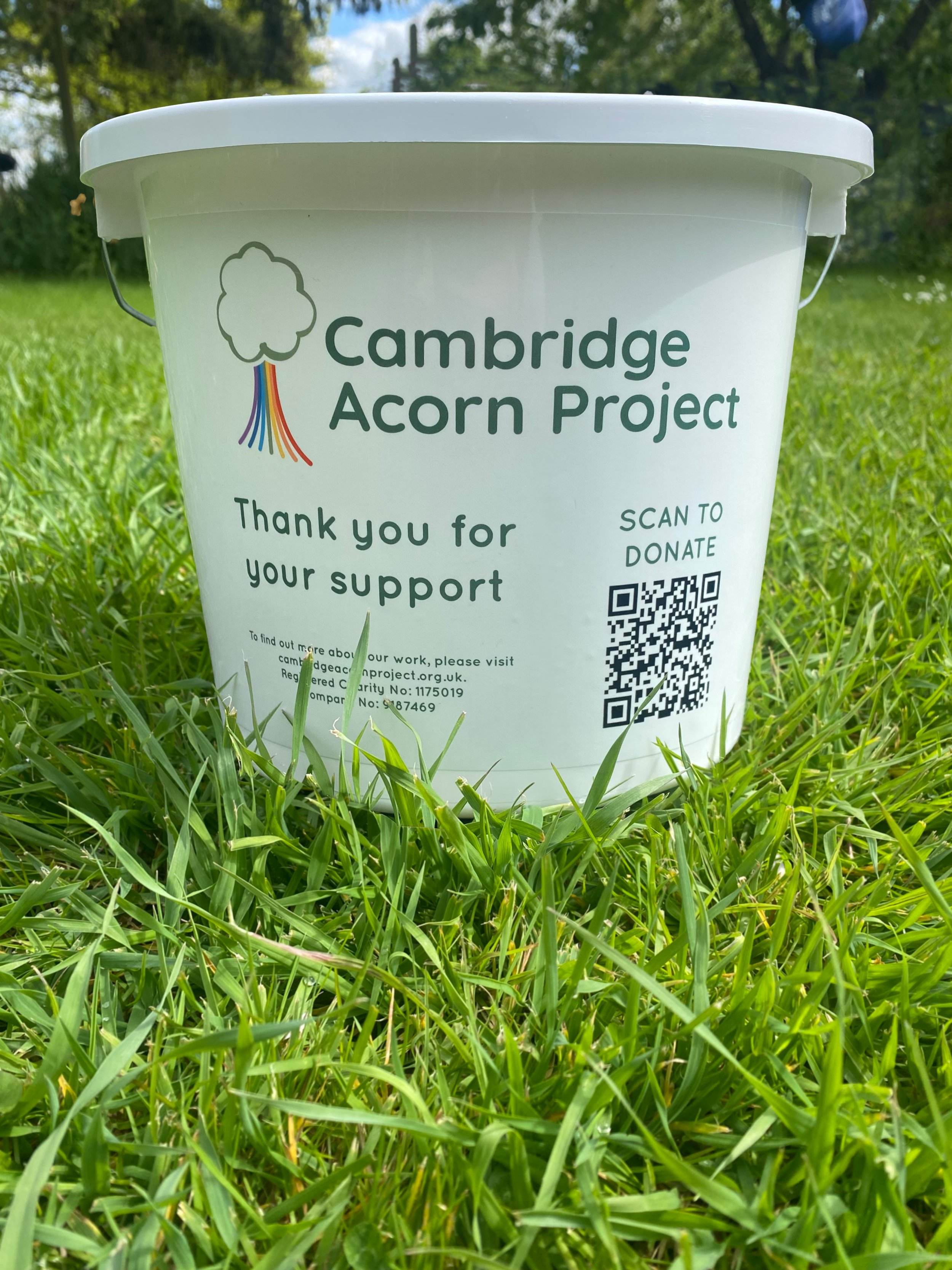 A white bucket with the 'Cambridge Acorn Project' logo and text, sitting on green grass, with a QR code and support message.