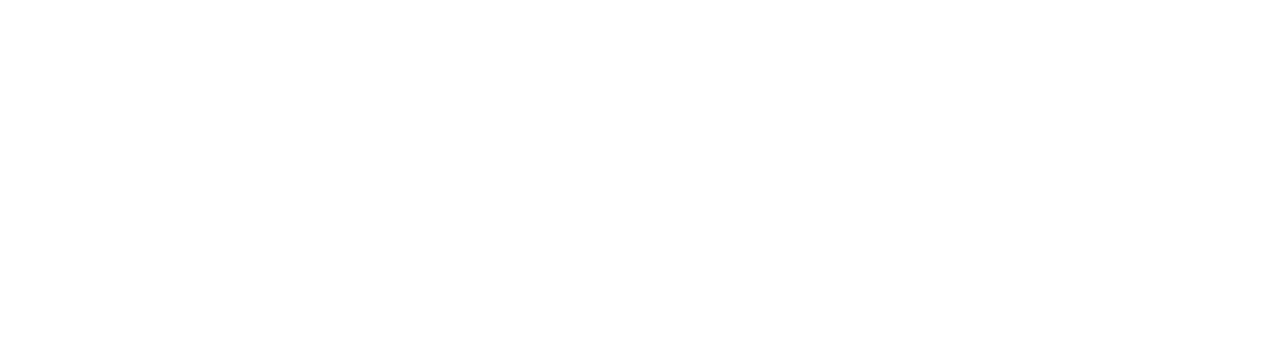 Sports coaching logo with the text 'DSI ATHLETE SPORTS COACHING' in bold uppercase letters, with a star icon on the left.